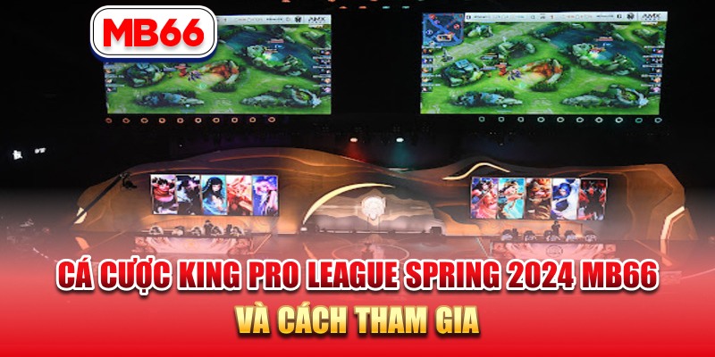 Cá cược King Pro League Spring 2024